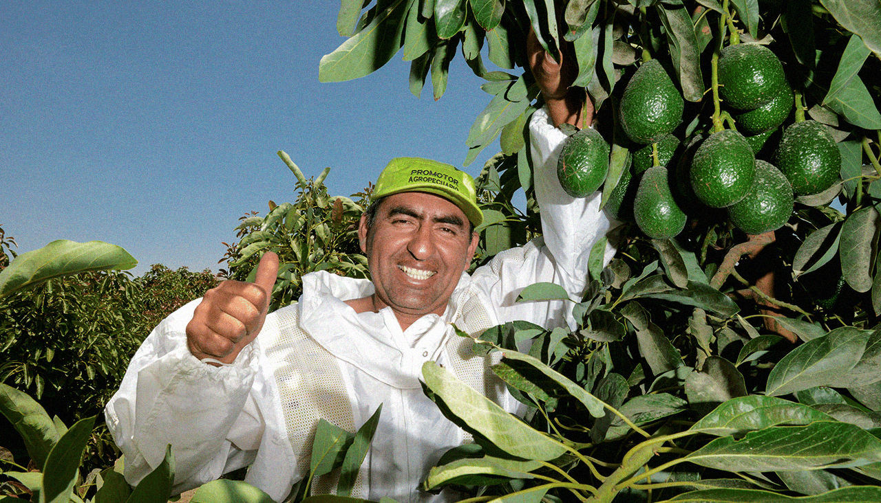 minería cobre molibdeno arequipa cerro verde desarrollo agrícola perú