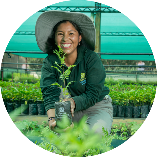 Responsabilidad social y con grupos de interés