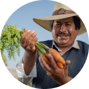 Beneficios Cobre