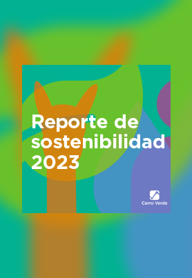 REPORTES DE SOSTENIBILIDAD