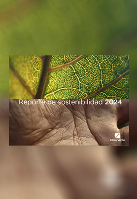 REPORTES DE SOSTENIBILIDAD