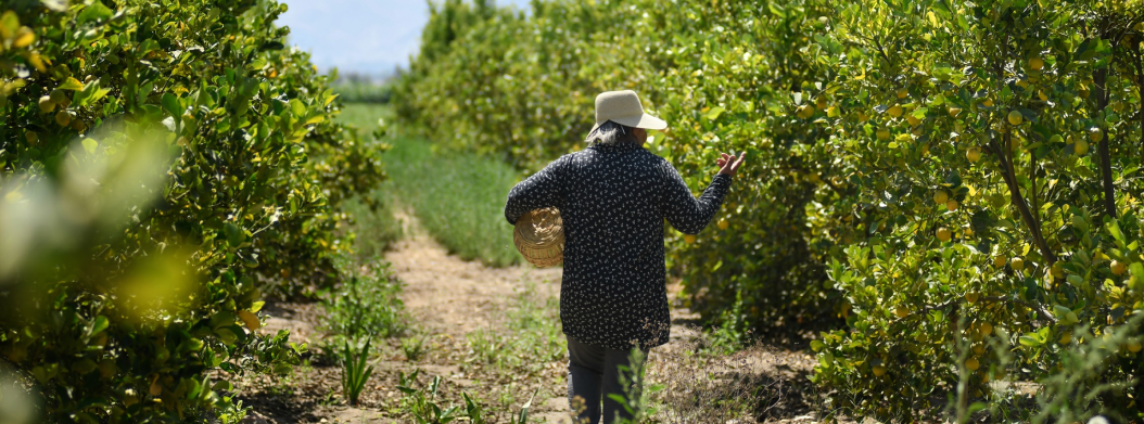 el-aporte-de-la-mineria-en-arequipa-ha-permitido-que-el-sector-educativo-se-desarrolle-y-se-convierta-en-un-referente-para-la-region-sur-244